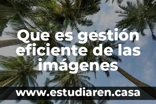 Que es gestión eficiente de las imágenes