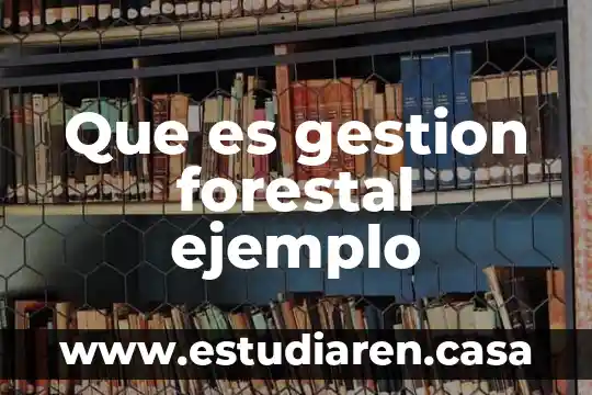 Que es un sistema de gestion de filas 7 Que es gestion forestal ejemplo