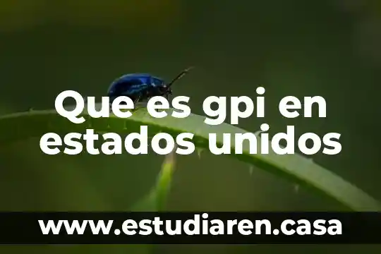 Que es un mall en estados unidos 6 Que es gpi en estados unidos
