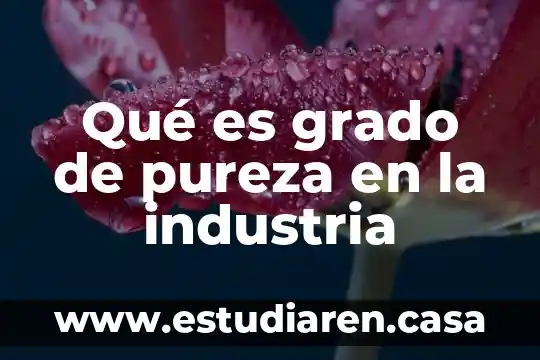 Educando tv que es una hipotesis para 4to grado 6 Qué es grado de pureza en la industria
