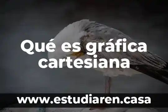 Que es una grafica combinada 5 Qué es gráfica cartesiana
