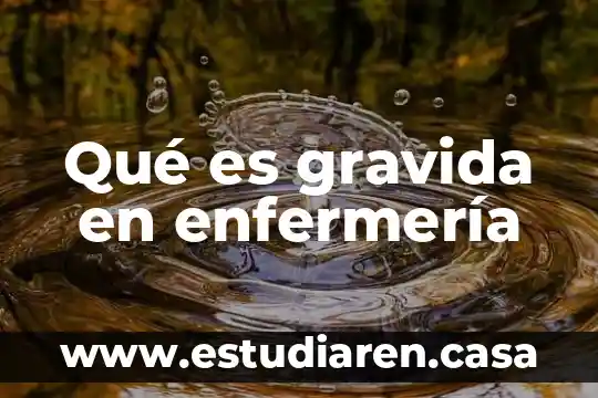 Que es un humidificador en enfermeria 8 Qué es gravida en enfermería