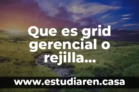 Que es sistema de informaci贸n gerencial en una empresa 6 Que es grid gerencial o rejilla administrativa