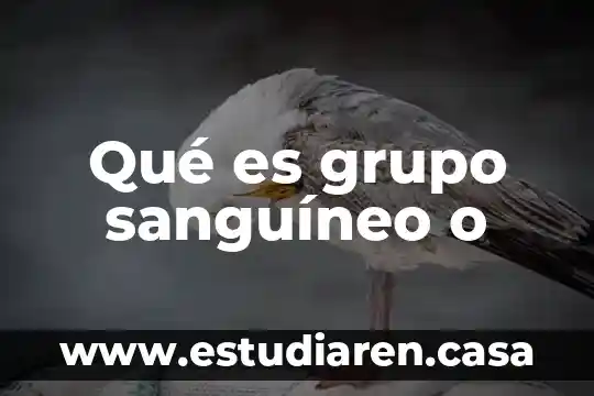 Qué es grupo sanguíneo o