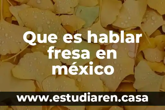 Qué es un fresa en México 4 Que es hablar fresa en méxico