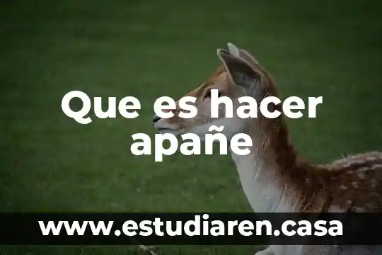 Que es hacer una horchata 6 Que es hacer apañe