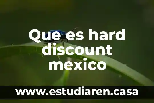 Que es hard discount mexico 13 Que es hard discount mexico