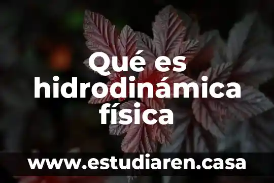 Que es el rfc como persona fisica 5 Qué es hidrodinámica física