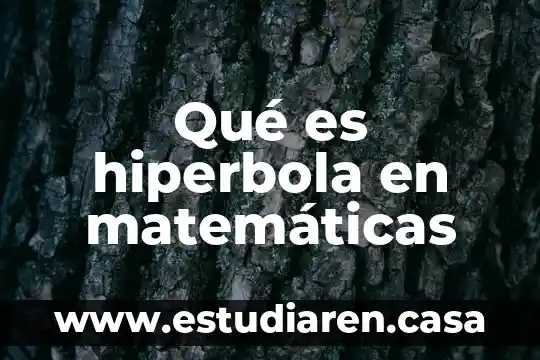 Qué es el palmo en matemáticas 7 Qué es hiperbola en matemáticas
