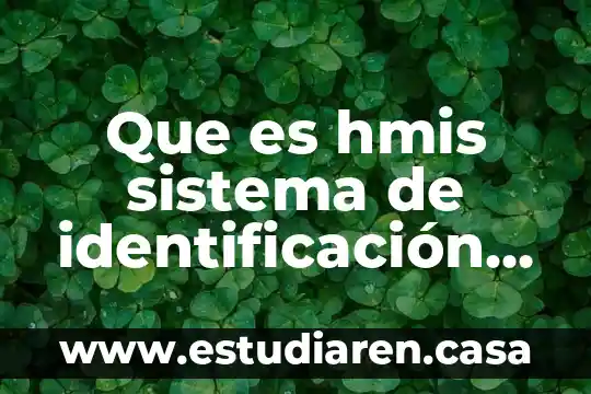 Que es hmis sistema de identificación de materiales peligrosos