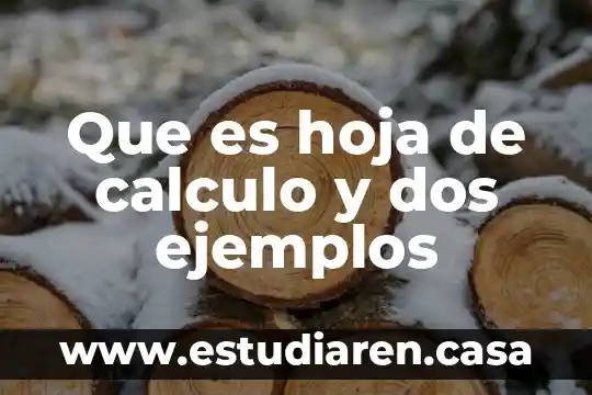 Que es hoja de calculo y dos ejemplos