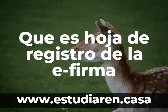 Que es hoja de registro de la e-firma