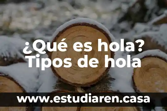 ¿Qué es hola? Tipos de hola