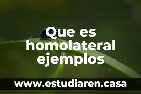 Que es imeca ejemplos 3 Que es homolateral ejemplos