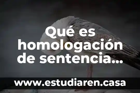 Qué es inversión extranjera directa IED 8 Qué es homologación de sentencia extranjera en México