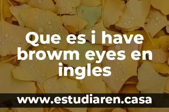 Que es transformacion de sociedad 8 Que es i have browm eyes en ingles