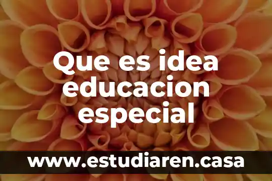 Que es idea educacion especial
