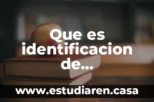 Que es identificacion de aprendizajes