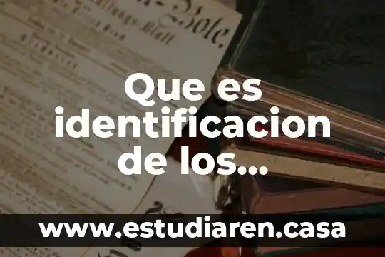 Que es identificacion de los objetivos