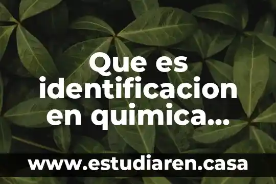 Que es un estudio analitica 3 Que es identificacion en quimica analitica