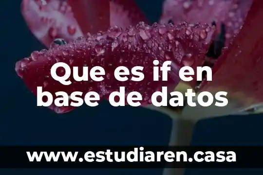 Que es base de datos infraestructura 6 Que es if en base de datos