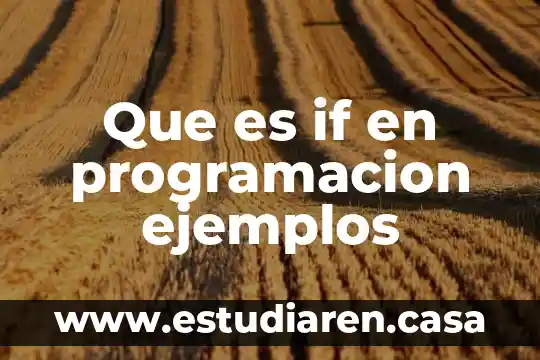 Que es el reemplazo con programacion dinamica 4 Que es if en programacion ejemplos
