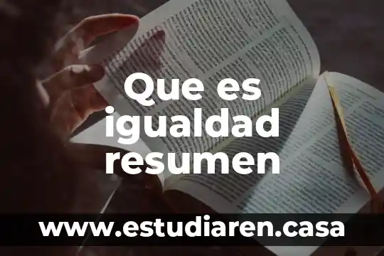 Que es igualdad resumen