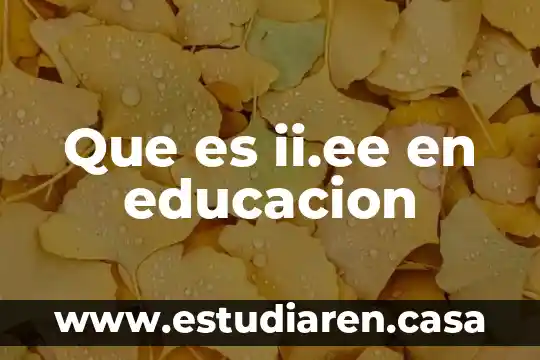 Que es cuando una persona se cotiza 5 Que es ii.ee en educacion