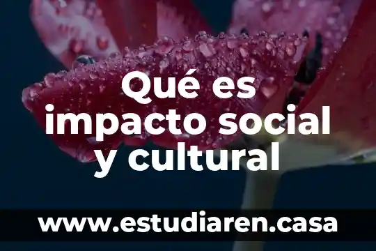 Qué es impacto social y cultural