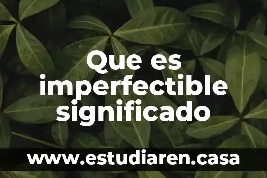 Que es el significado de yeimi 7 Que es imperfectible significado