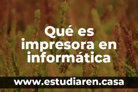 Qué es la unidad de fusor de impresora 3 Qué es impresora en informática