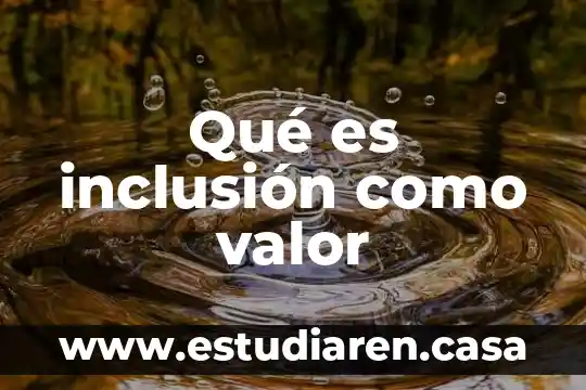 Que es la inclusion financiera segun autores 3 Qué es inclusión como valor