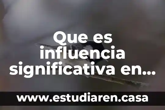 Qué es la influencia mala y buena 4 Que es influencia significativa en contabilidad
