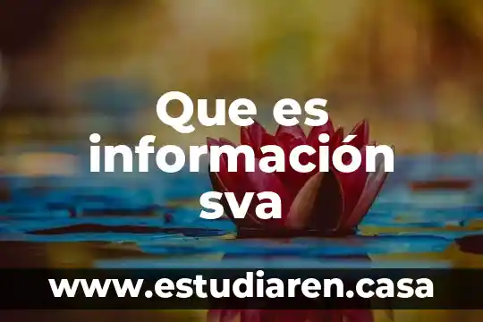 Que es información sva