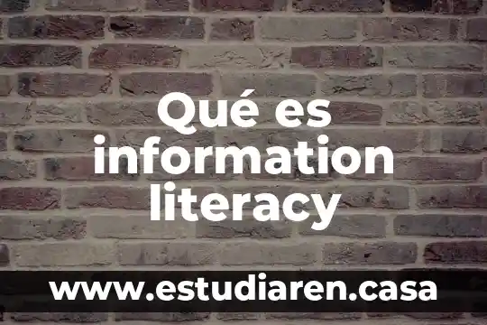Qué es information literacy