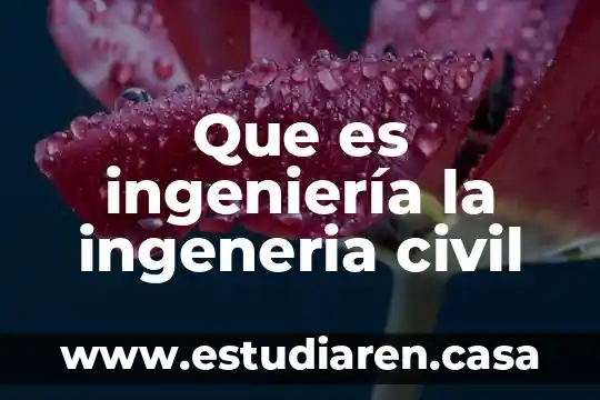Que es la curatela en derecho civil 3 Que es ingeniería la ingeneria civil