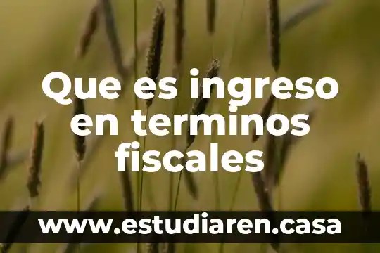 Que es ingreso en terminos fiscales