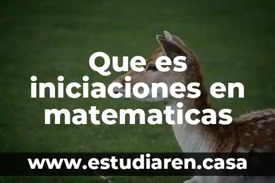 Que es iniciaciones en matematicas