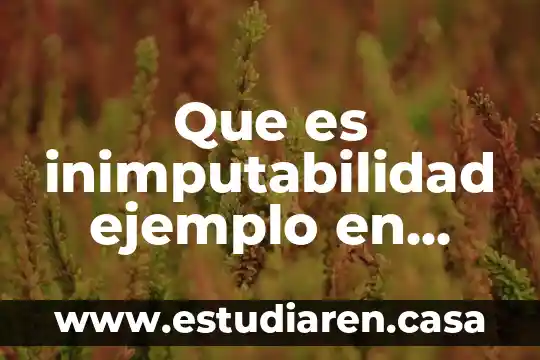 Grupo de edad que es más propenso a cólera 7 Que es inimputabilidad ejemplo en menores de edad
