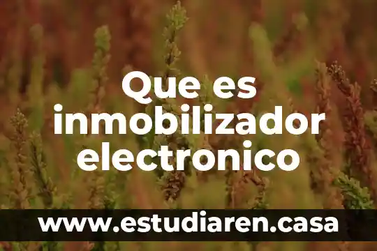 Qué es el distribuidor electrónico de un vocho fuel injection 4 Que es inmobilizador electronico