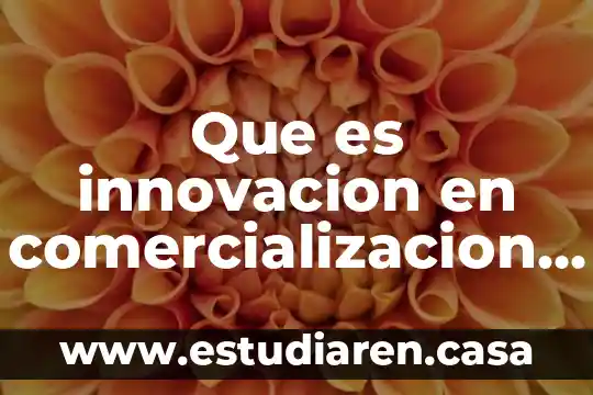 Que es innovacion en comercializacion ejemplos