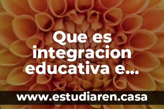 Que es la inclusion financiera segun autores 8 Que es integracion educativa e inclusion escolar