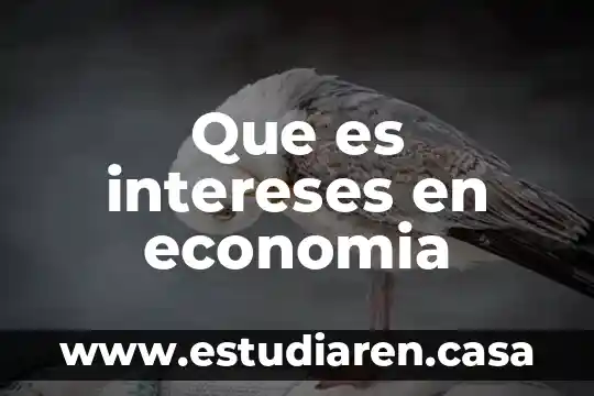 Que es intereses en economia