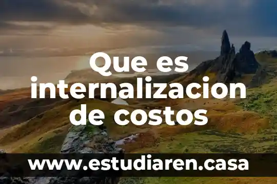 Costos de manufacturas que es 3 Que es internalizacion de costos