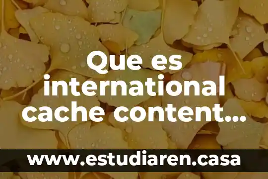 Que es datos de cache celular 4 Que es international cache content provider