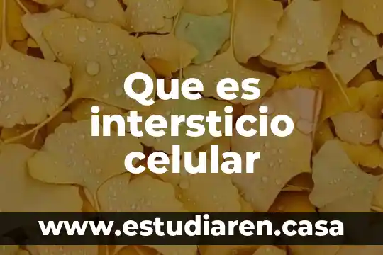 Que es intersticio celular