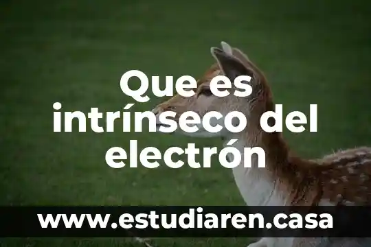 Que es yn electron 5 Que es intrínseco del electrón