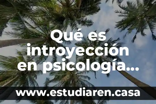 Qué es introyección en psicología ejemplos