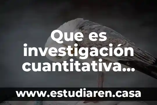 Que es investigación cuantitativa frente a investigación cualitativa