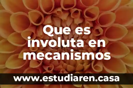 Cinemática de mecanismos que es 3 Que es involuta en mecanismos